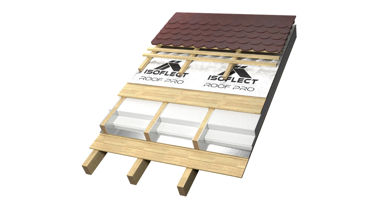 Habitable attic with exposed rafters